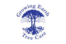 Growing Earth Tree Care